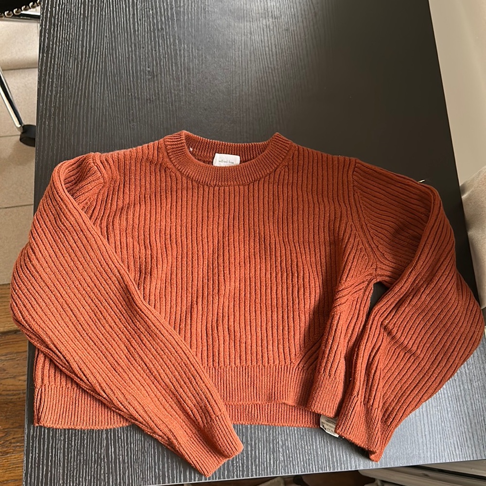 Aritzia Wilfred Free rust colored crop sweater